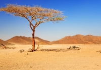 Afrique du Nord - Moyen-Orient à l&#039;horizon 2050, vers une dépendance accrue aux importations agricoles