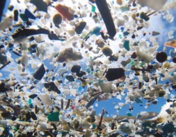Exposition "La mer destination finale ? projet sur les d&eacute;chets plastiques"