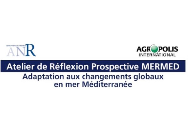 La Mer Méditerranée dans 30 ans : quelles perspectives ? L’étude MERMED fait le point