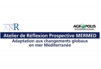 La Mer Méditerranée dans 30 ans : quelles perspectives ? L’étude MERMED fait le point