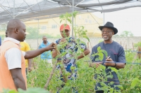 AGRICULTURE: les experts proposent des pistes pour renforcer la coopération agricole UE/Afrique