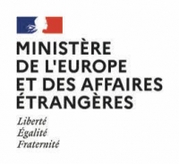 LES DIASPORAS VECTEURS DE DÉVELOPPEMENT